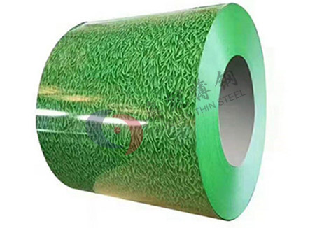 小草印花彩涂卷